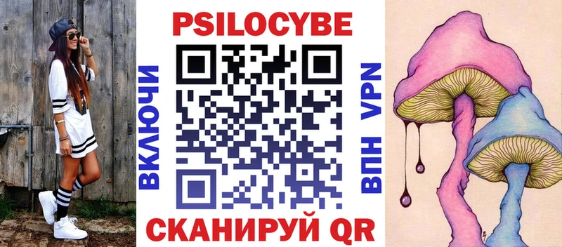 Галлюциногенные грибы Cubensis  сколько стоит  omg ССЫЛКА  Ардон 